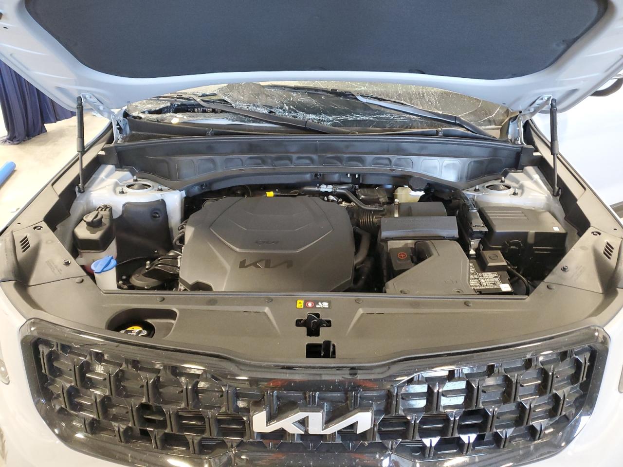 2024 KIA TELLURIDE EX VIN:5XYP3DGC3RG555030