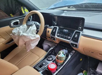 2023 Kia Sorento KNARK81GBPA209200 VIN:KNARK81GBPA209200