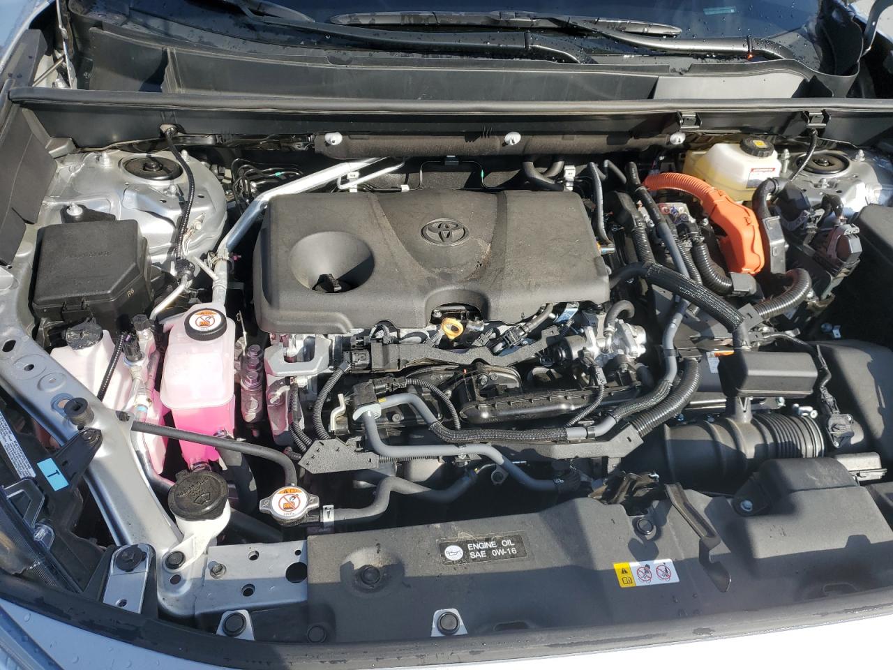2024 TOYOTA RAV4 XLE VIN:2T3RWRFV5RW233152