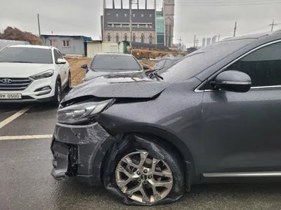 2019 Kia Sorento KNAPH81BBLA633531 VIN:KNAPH81BBLA633531
