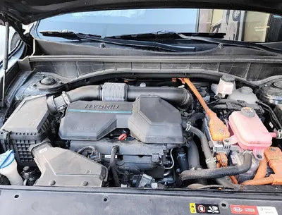 2021 Kia Sorento KNARH81GBMA011735 VIN:KNARH81GBMA011735