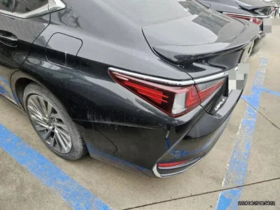 2019 Lexus ES 300 VIN: