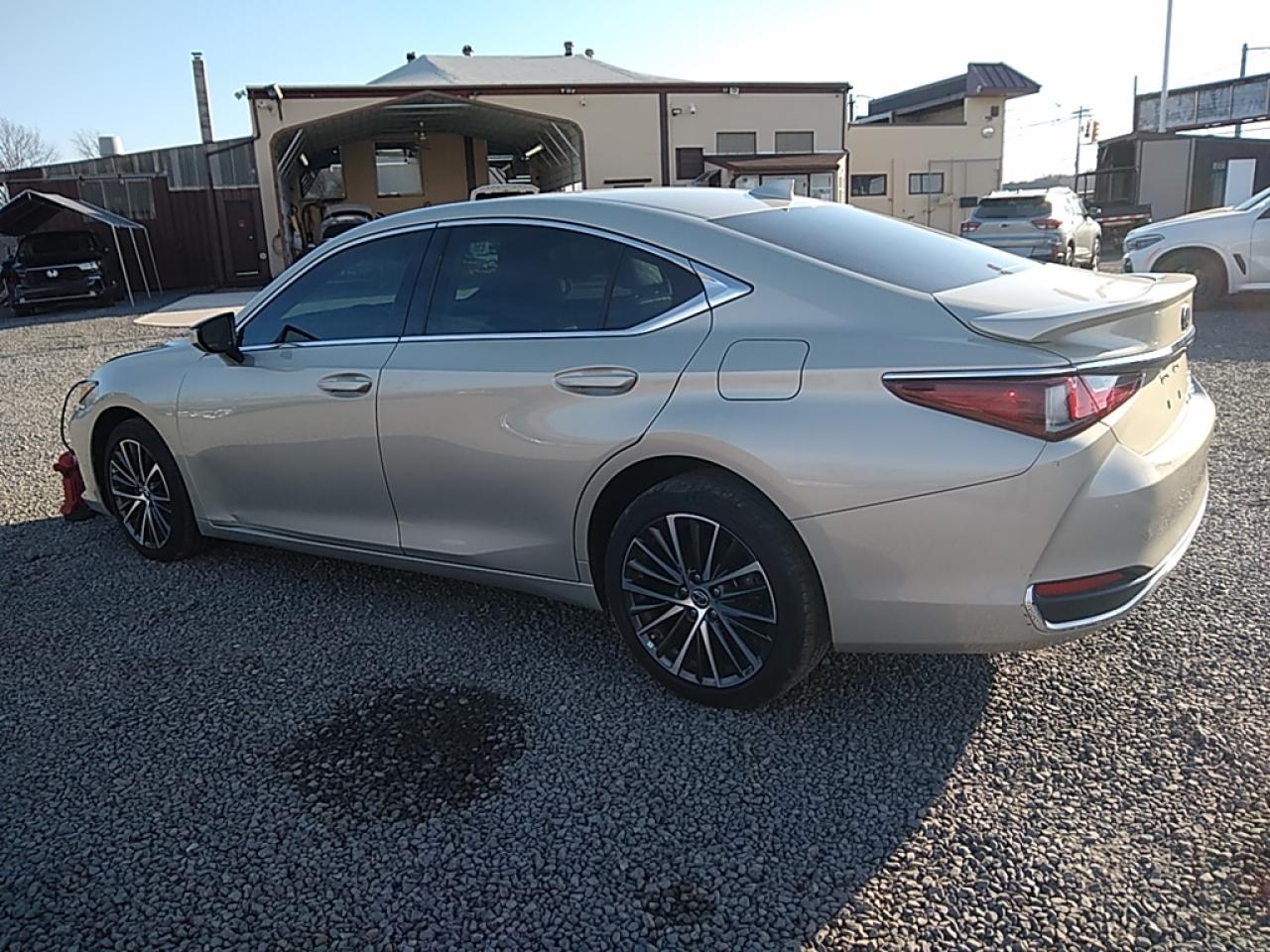 2022 LEXUS ES 250 BASE VIN:58AD11D15NU008493