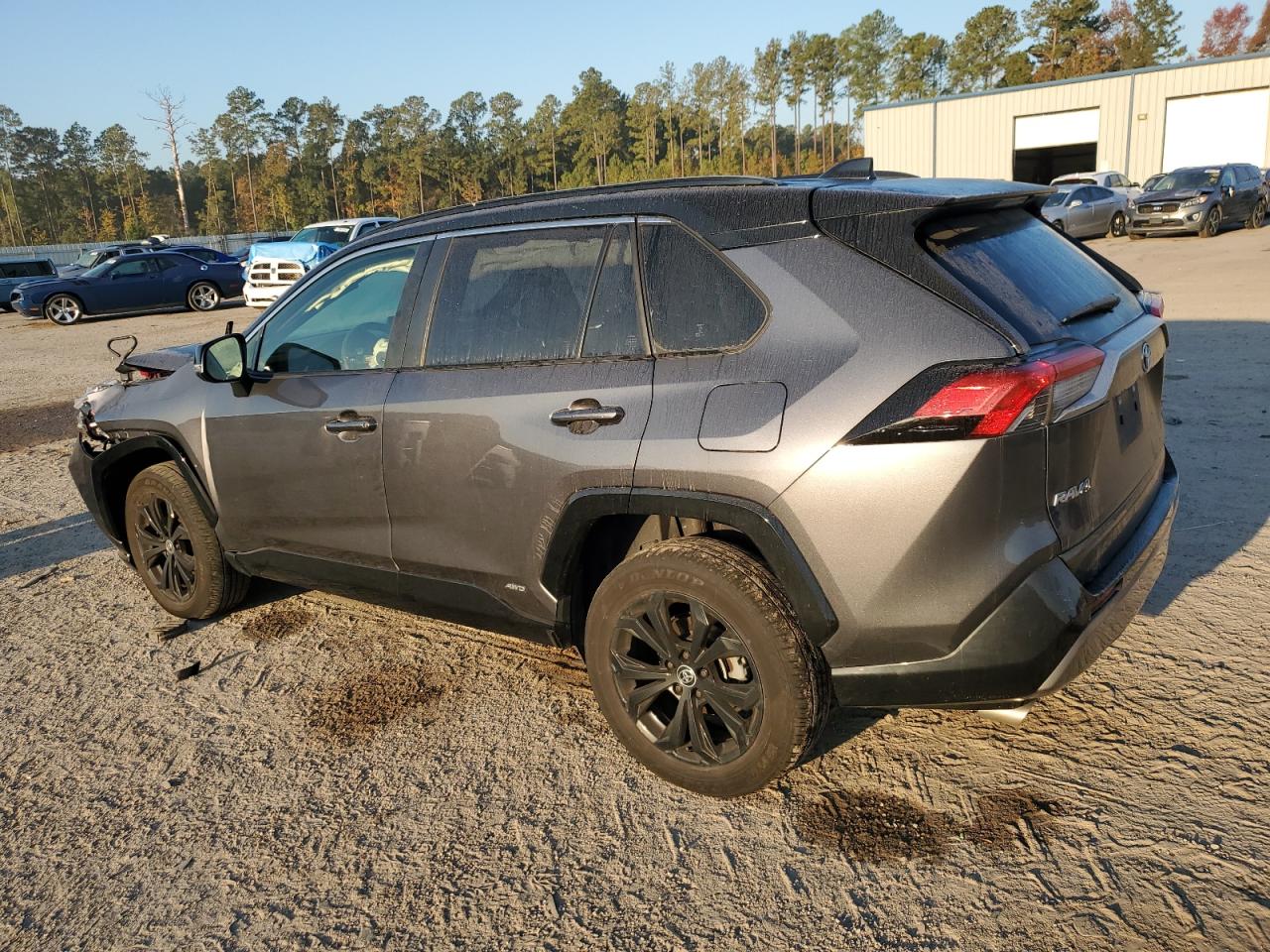 2023 TOYOTA RAV4 XSE VIN:JTME6RFV8PD537116