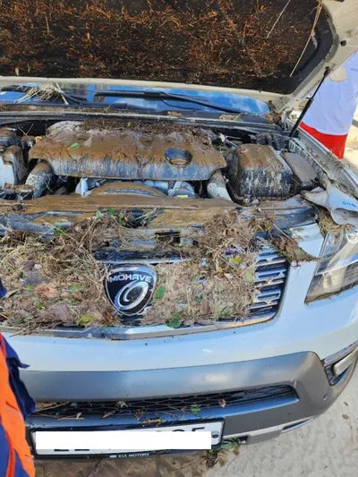 2017 Kia Mohave KNAKN814DHA157376 VIN:KNAKN814DHA157376