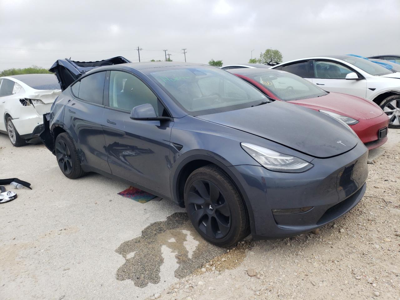 2023 TESLA MODEL Y  VIN:7SAYGDEE1PA088594