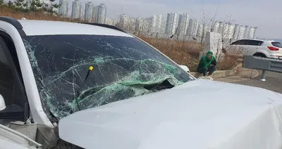 2020 Hyundai Kona KMHK281GFLU066743 VIN:KMHK281GFLU066743