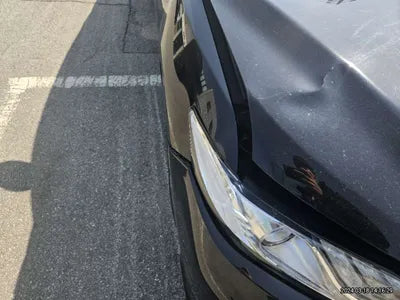 2019 Toyota Camry JTNB11HKXK3087825 VIN:JTNB11HKXK3087825