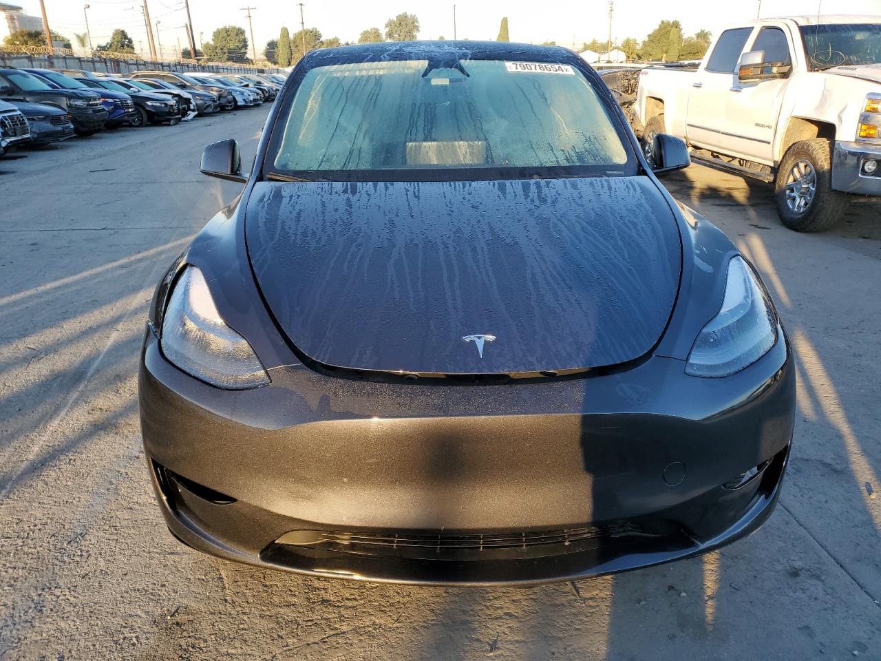 2024 TESLA MODEL Y  VIN:7SAYGDED5RF034308