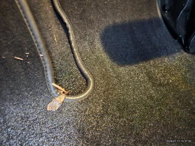 2017 Mercedes-Benz C 200 VIN: