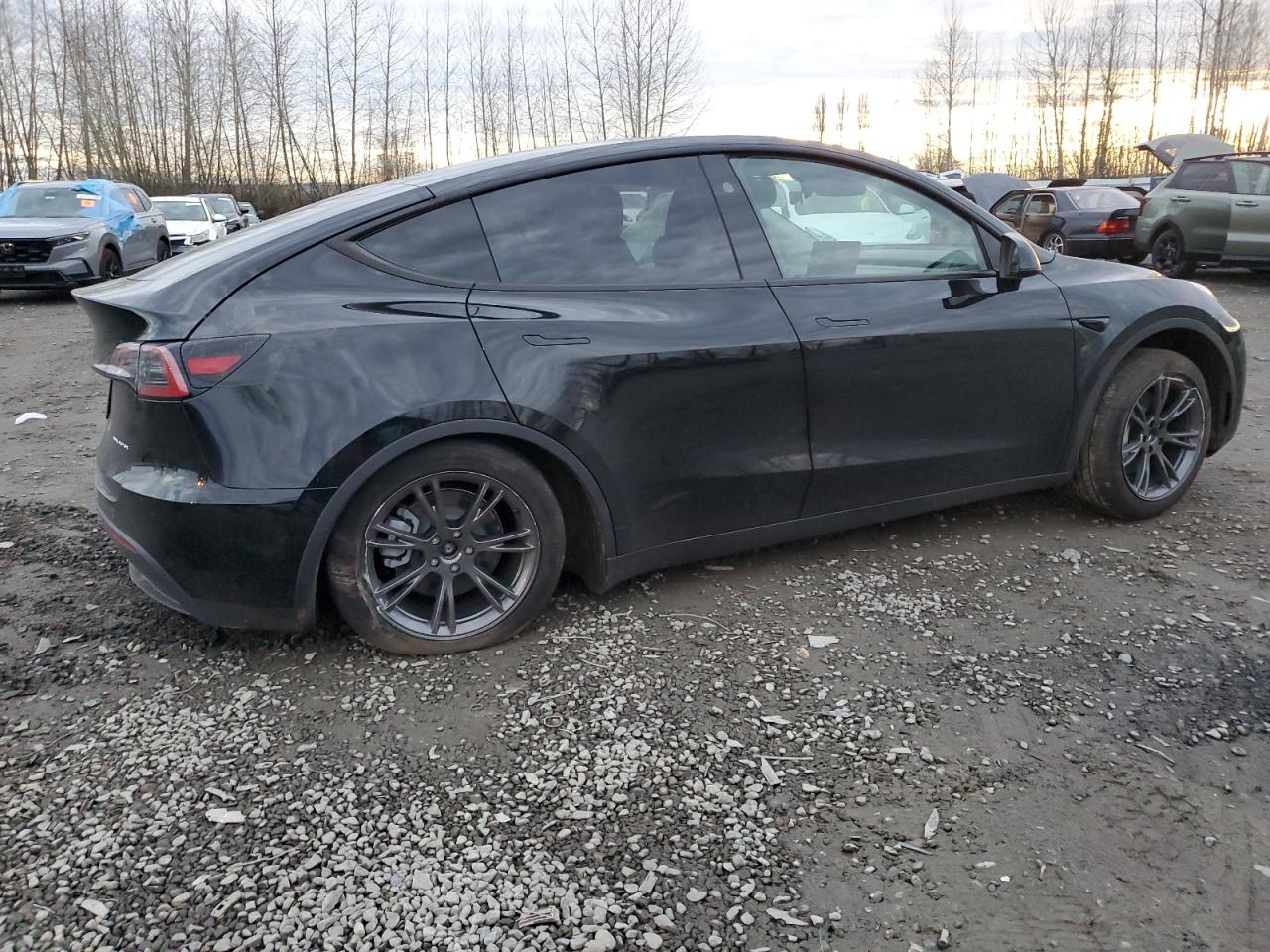 2024 TESLA MODEL Y  VIN:7SAYGAEE8RF116542