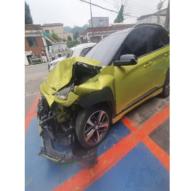 2018 Hyundai Kona KMHK4815GJU009395 VIN:KMHK4815GJU009395