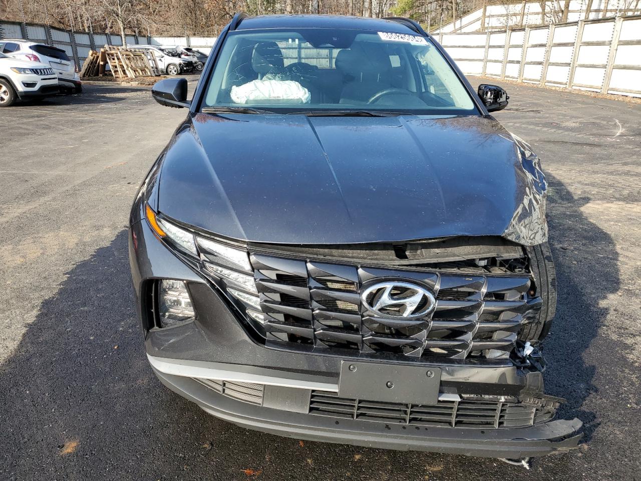 2024 HYUNDAI TUCSON SEL VIN:5NMJBCDEXRH328691