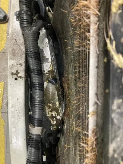 2016 nissan cashkai VIN: