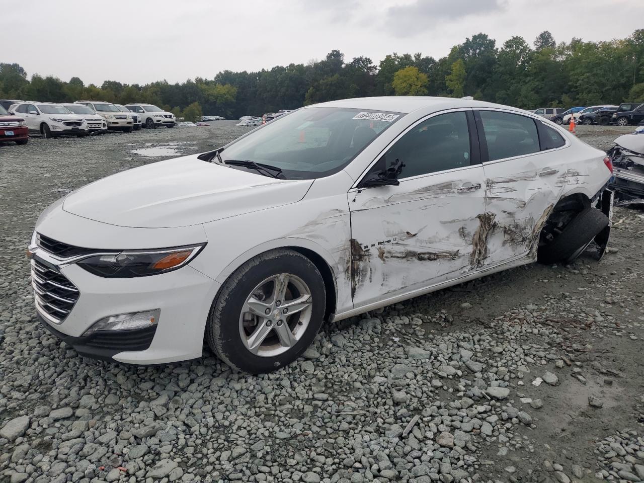 2024 CHEVROLET MALIBU LT VIN:1G1ZD5ST8RF120437