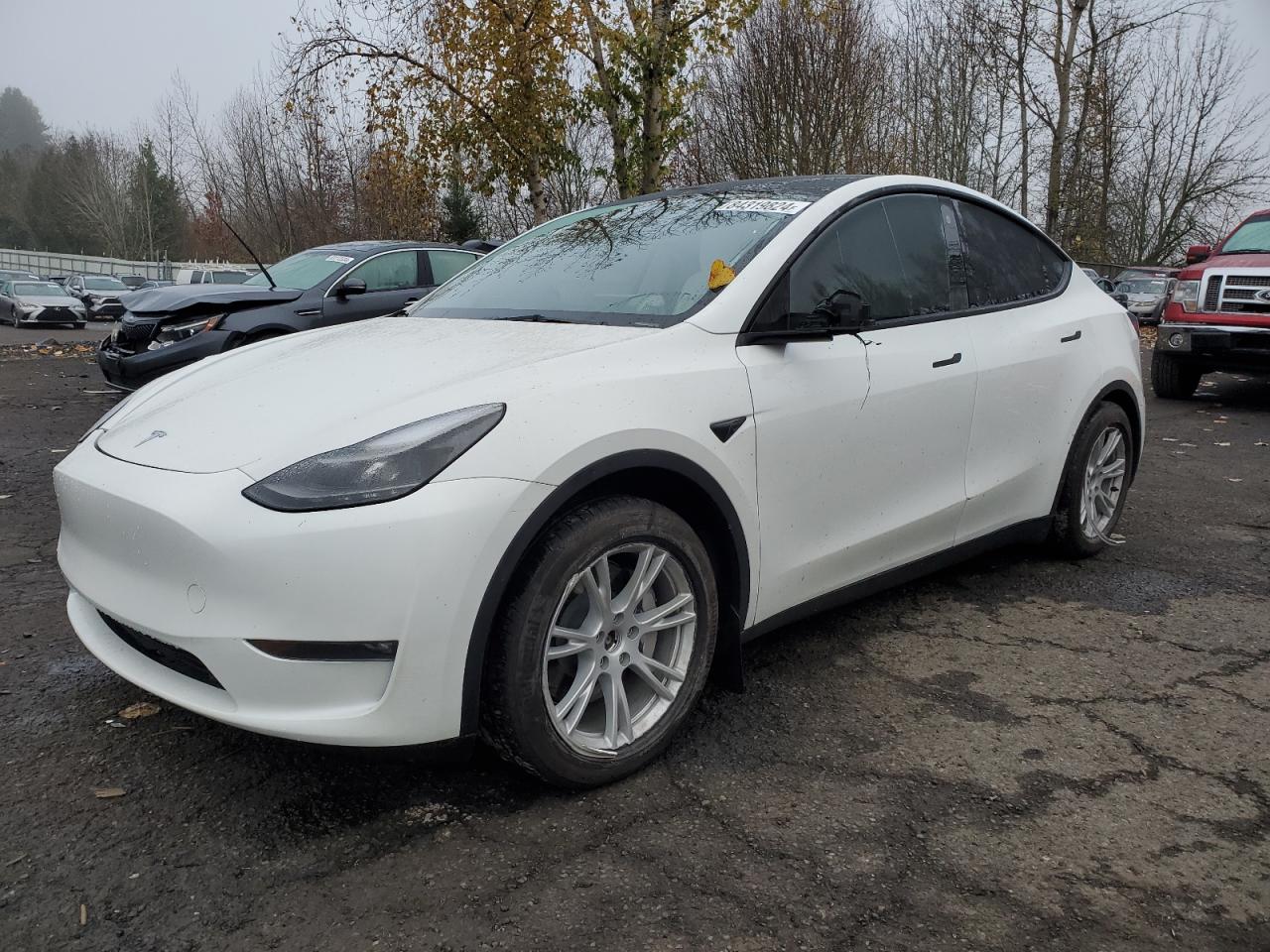 2023 TESLA MODEL Y  VIN:7SAYGDEE0PF774709