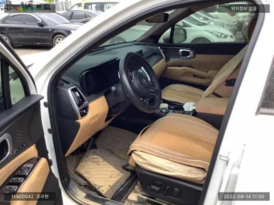 2020 Kia Sorento KNARL81GDMA028217 VIN:KNARL81GDMA028217