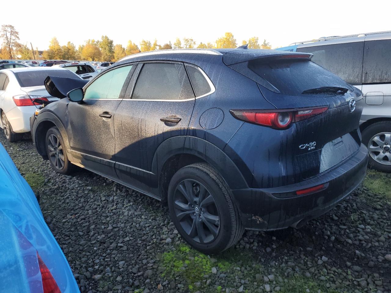 2022 MAZDA CX-30 PREMIUM PLUS VIN:3MVDMBEY3NM417289