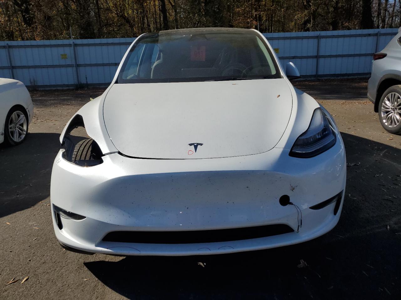 2023 TESLA MODEL Y  VIN:7SAYGDEEXPA052211