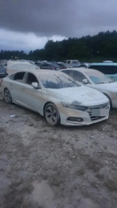 2019 Honda Accord VIN: