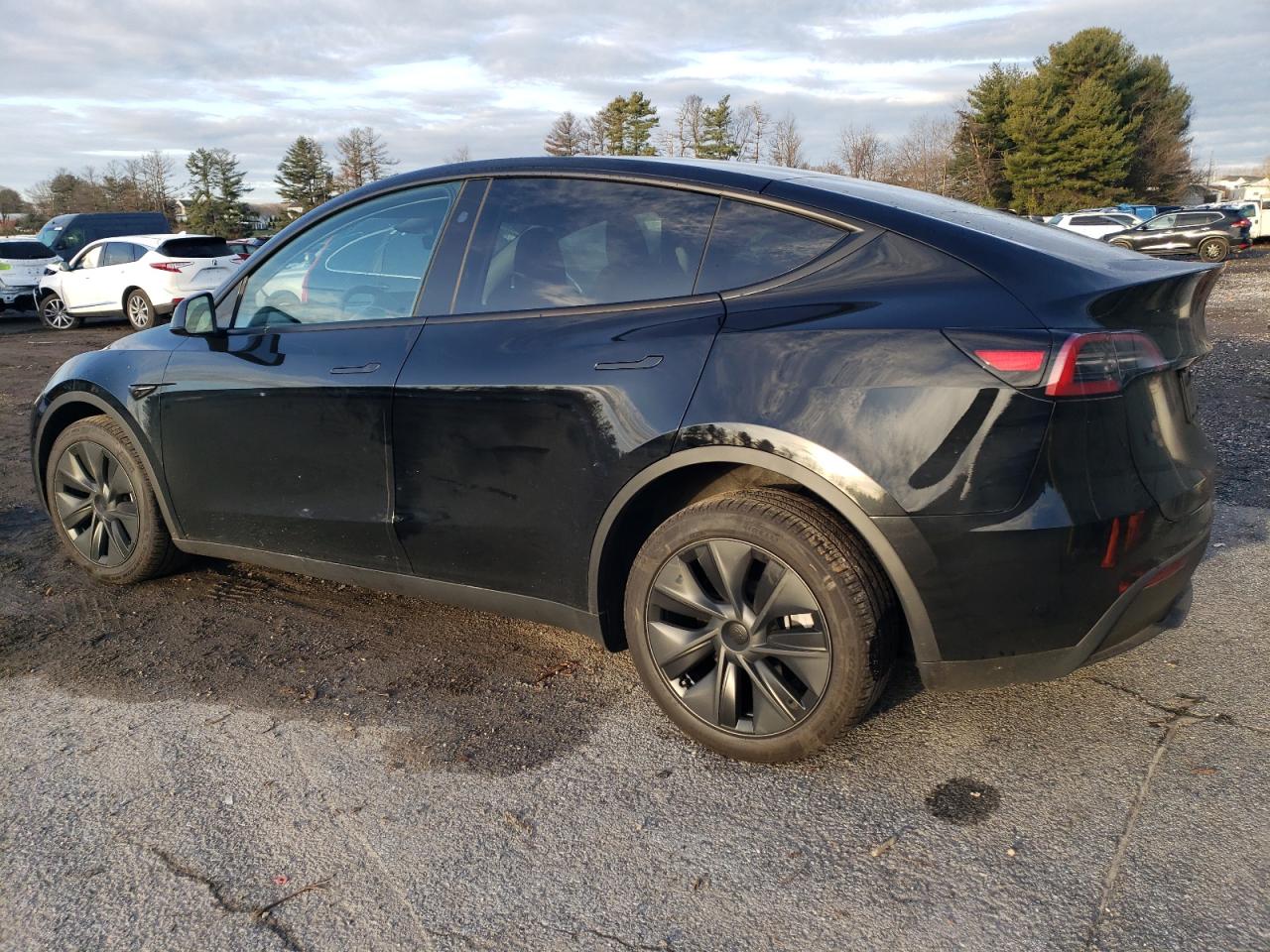 2024 TESLA MODEL Y  VIN:7SAYGDED5RF158563