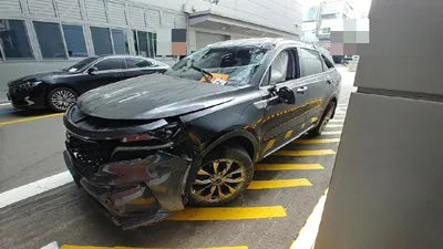 2020 Kia Sorento KNARG81BGMA017381 VIN:KNARG81BGMA017381