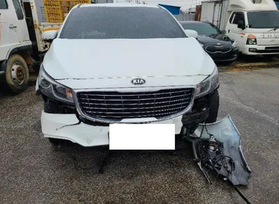 2018 Kia Carnival KNAMB81ABJS382617 VIN:KNAMB81ABJS382617