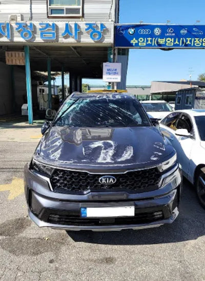 2021 Kia Sorento KNARK81GBMA014905 VIN:KNARK81GBMA014905