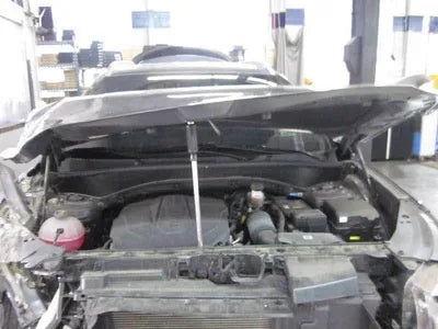 2020 Hyundai Santa FE KMHS381HGMU333983 VIN:KMHS381HGMU333983