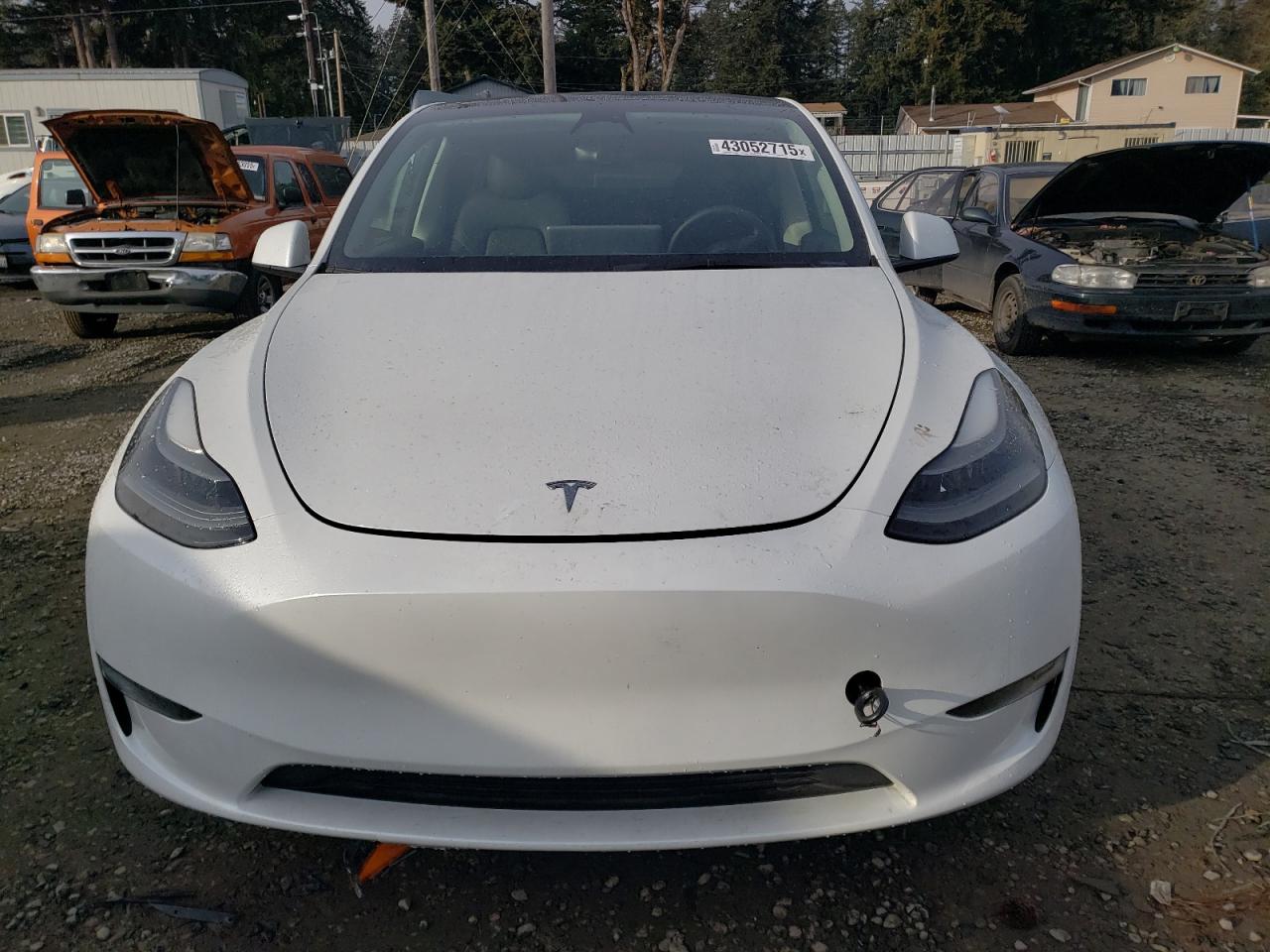 2023 TESLA MODEL Y  VIN:7SAYGDEE9PF623156