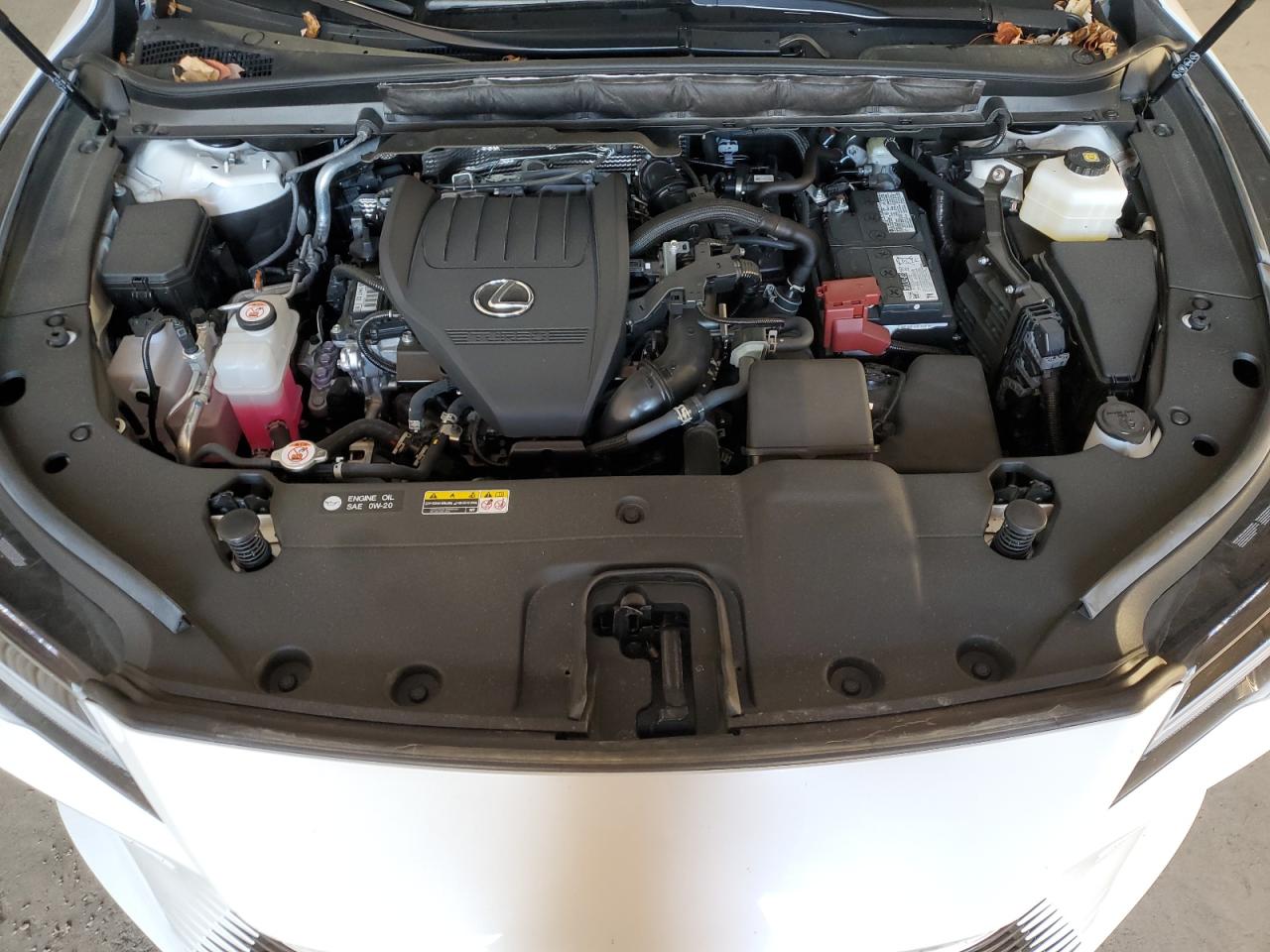 2024 LEXUS RX 350 BASE VIN:2T2BAMCA1RC049921