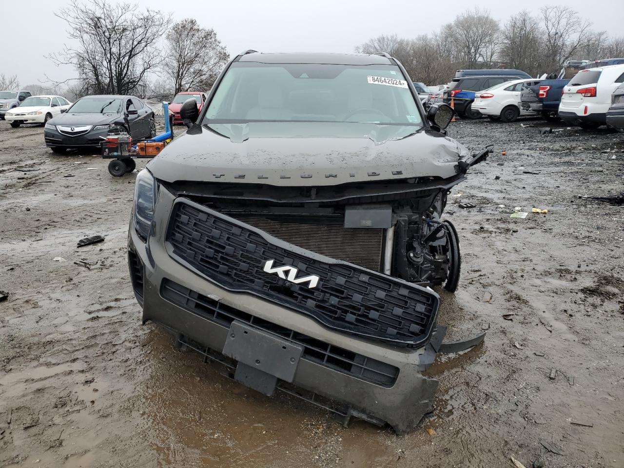 2022 KIA TELLURIDE SX VIN:5XYP5DHC3NG200426