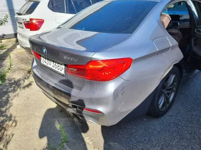 2020 BMW 520 WBAJF5105LWW55090 VIN:WBAJF5105LWW55090