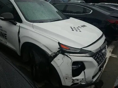 2019 Hyundai Santa FE KMHS381CDKU003486 VIN:KMHS381CDKU003486