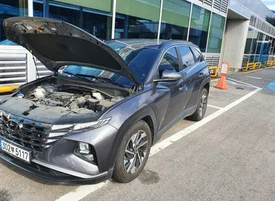 2021 Hyundai Tucson KMHJC81BGMU009847 VIN:KMHJC81BGMU009847