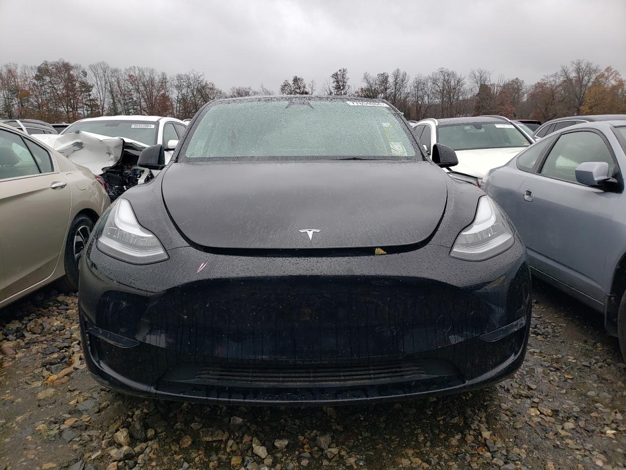 2023 TESLA MODEL Y  VIN:7SAYGDEE3PA077113