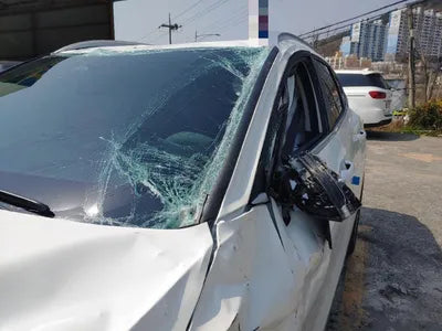 2021 Kia Sportage KNAPX81GBNK007455 VIN:KNAPX81GBNK007455
