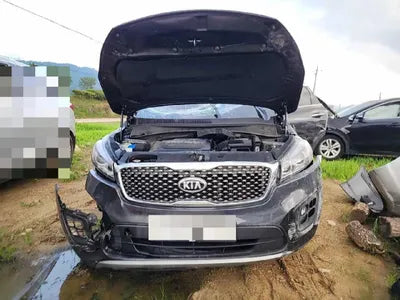 2016 Kia Sorento KNAPS81ABGA223165 VIN:KNAPS81ABGA223165