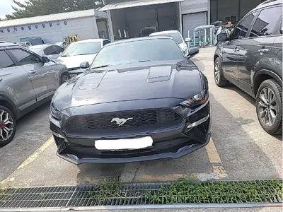 2019 Ford Mustang 571KM1FA6P8TH5K51 VIN:571KM1FA6P8TH5K51