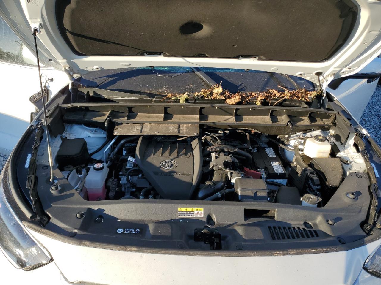 2023 TOYOTA HIGHLANDER L VIN:5TDKDRAHXPS005302