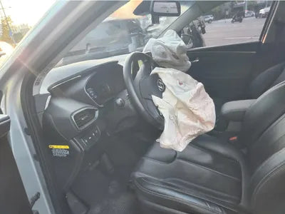 2019 Hyundai Santa FE KMHS381BBKU156411 VIN:KMHS381BBKU156411