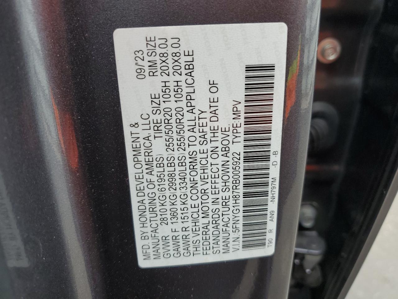 2024 HONDA PILOT ELITE VIN:5FNYG1H87RB005922