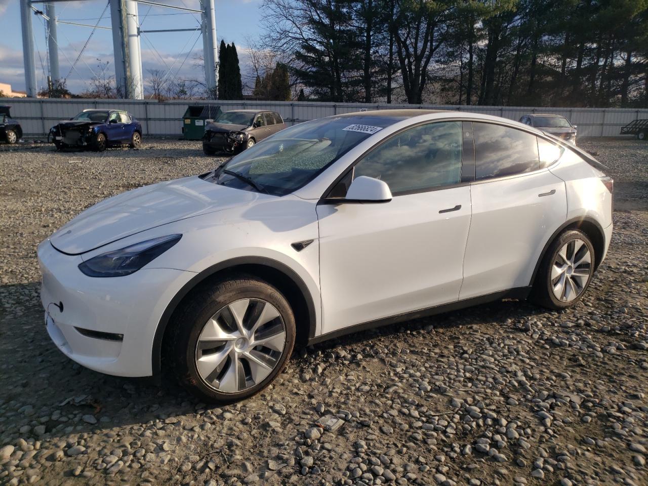 2023 TESLA MODEL Y  VIN:7SAYGAEE7PF749059