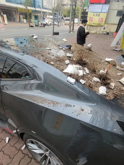 2016 Chevrolet Camaro 1G1F91R77H0126561 VIN:1G1F91R77H0126561