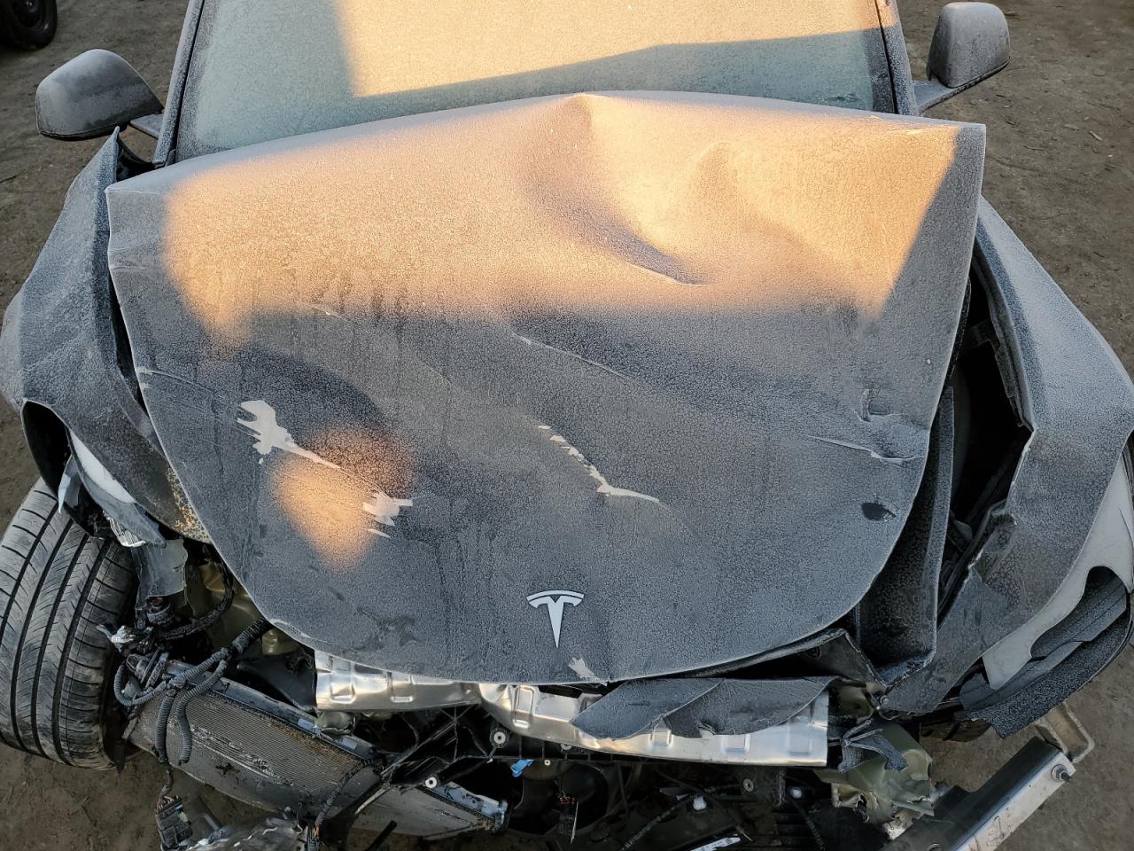 2024 TESLA MODEL Y  VIN:7SAYGDEF8RF034384