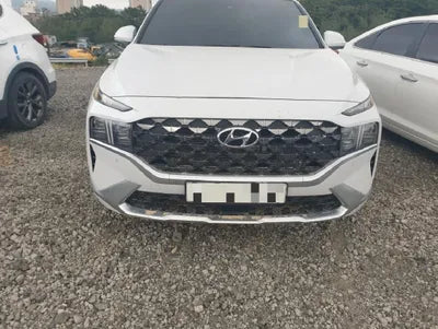 2020 Hyundai Santa FE KMHS381BBLU223133 VIN:KMHS381BBLU223133
