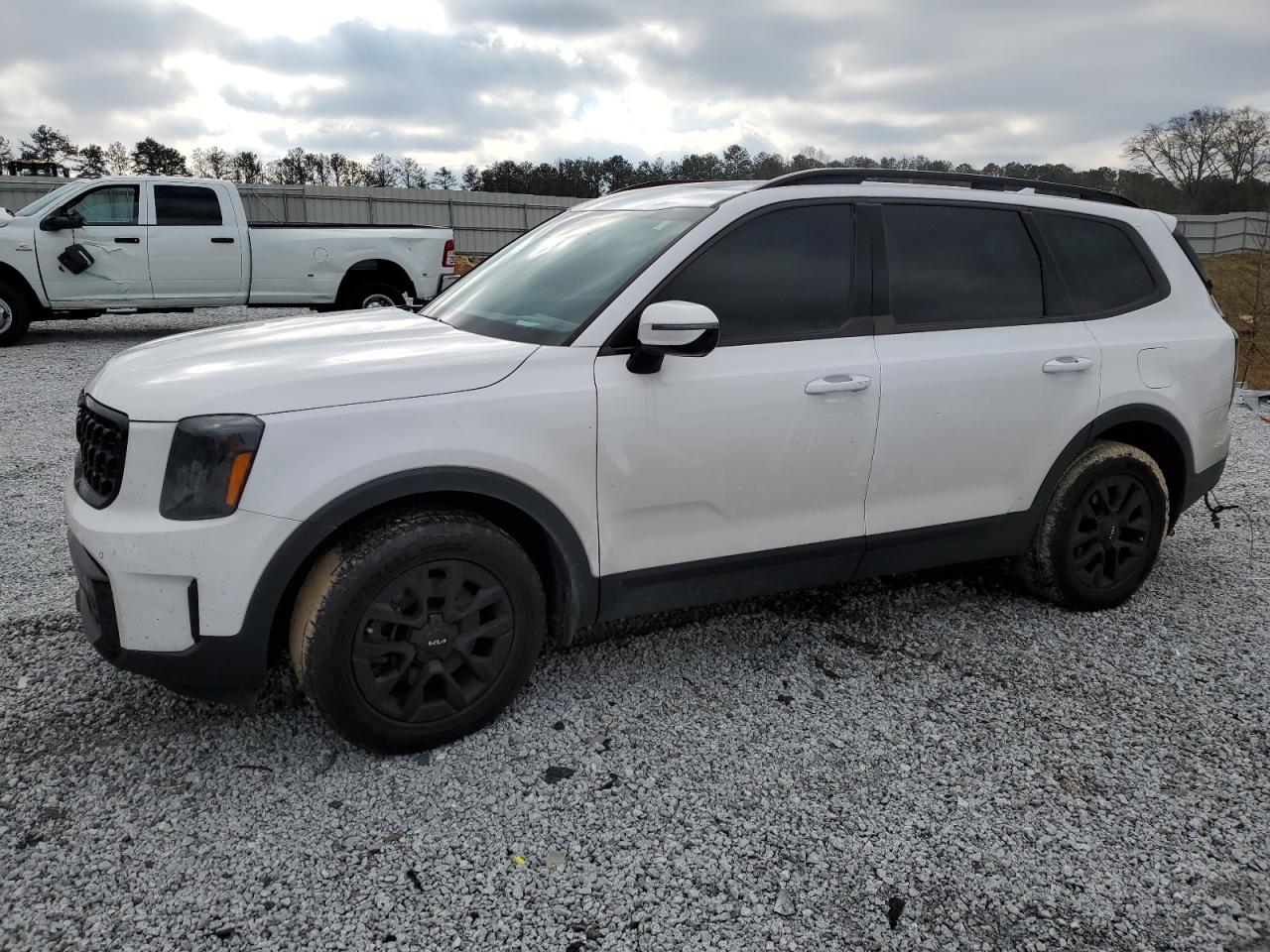2024 KIA TELLURIDE SX VIN:5XYP5DGC7RG420949