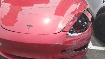 2020 Tesla Model 3 5YJ3E1EB6LF695539 VIN:5YJ3E1EB6LF695539