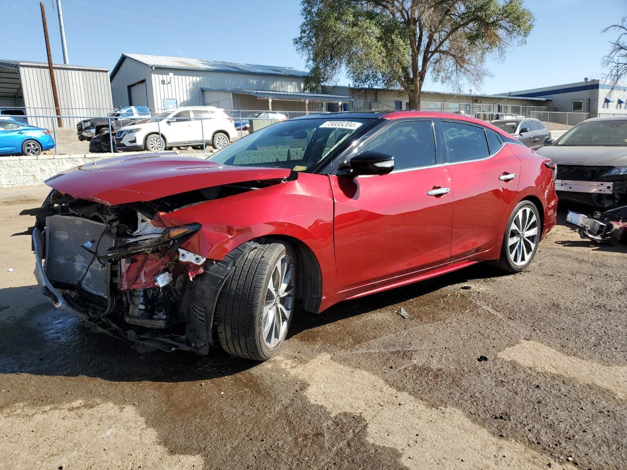 2023 NISSAN MAXIMA PLATINUM VIN:1N4AA6FV2PC507438