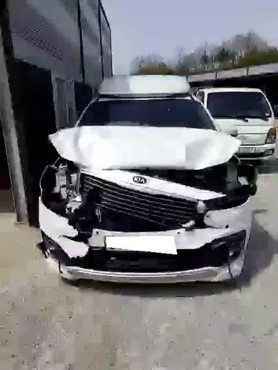 2016 Kia Carnival KNAME81ABHS287089 VIN:KNAME81ABHS287089